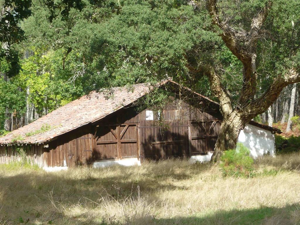 Appartements A Cote Lac Marin De Port D'Albret 布科·莱斯白老城 外观 照片