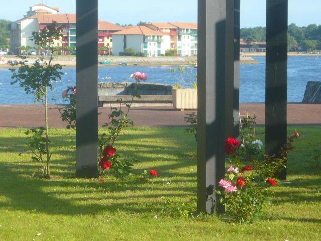 Appartements A Cote Lac Marin De Port D'Albret 布科·莱斯白老城 客房 照片